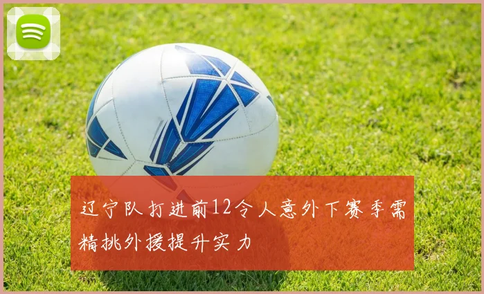 辽宁队打进前12令人意外下赛季需精挑外援提升实力